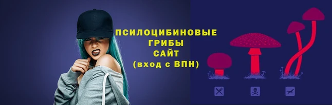 экстази Богородск