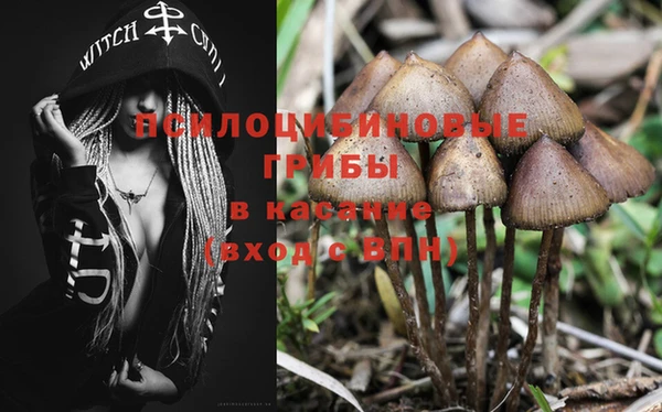 амфетамин Богданович