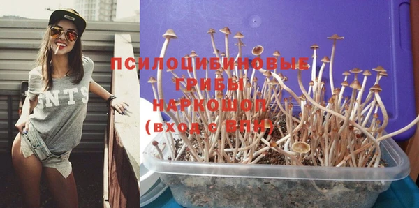 прущие крисы Белоозёрский